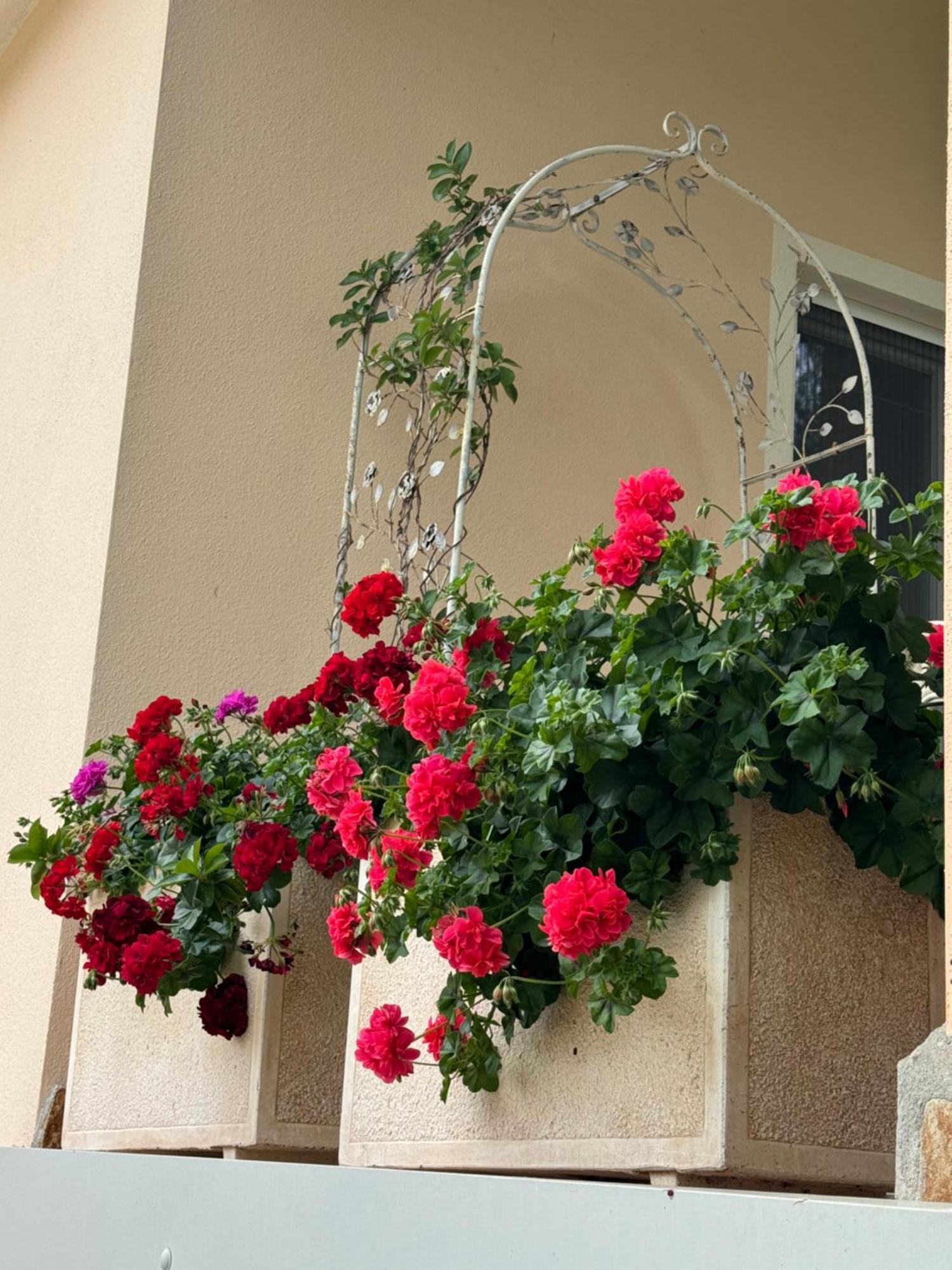 Villa Dei Fiori - Casa Vacanza Капотера Екстериор снимка