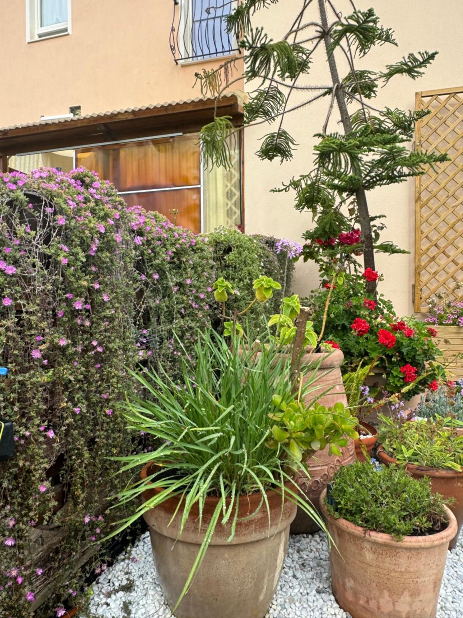 Villa Dei Fiori - Casa Vacanza Капотера Екстериор снимка